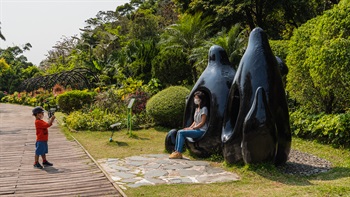 A sculpture representing family is placed at the entrance to the garden for artistic appreciation and photography. The sculpture is representative of the beginning of a life’s journey and starts to lead the visitors to a flower-lined path, as though walking through the different stages of life – from infancy to adulthood.
